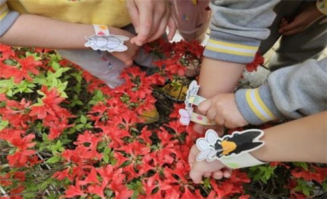 인천시교육청, 국립생물자원관 손잡고 '유아 생물다양성교육' 자료 배부